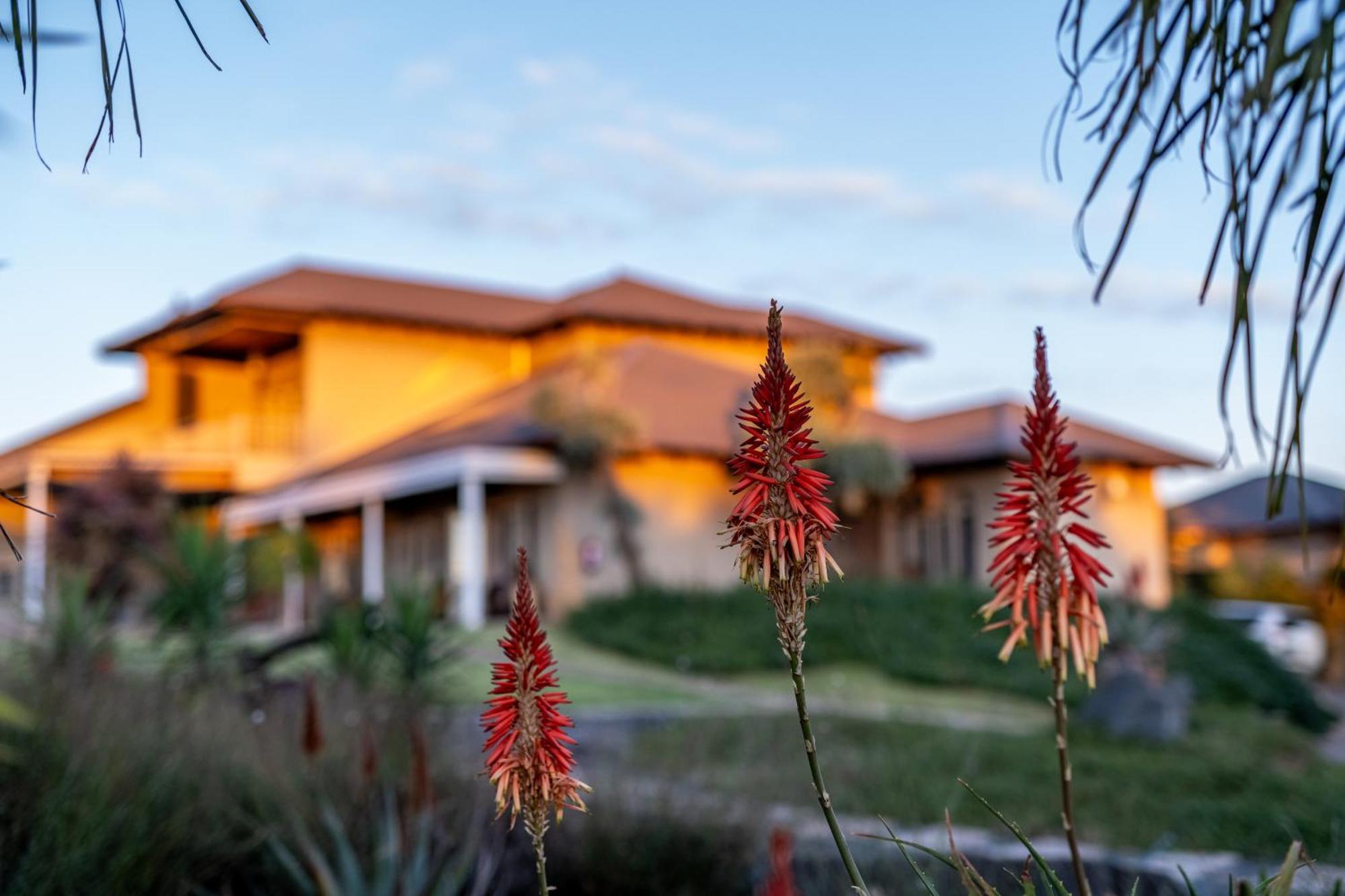 Blue Rain Guest House Bloemfontein Extérieur photo