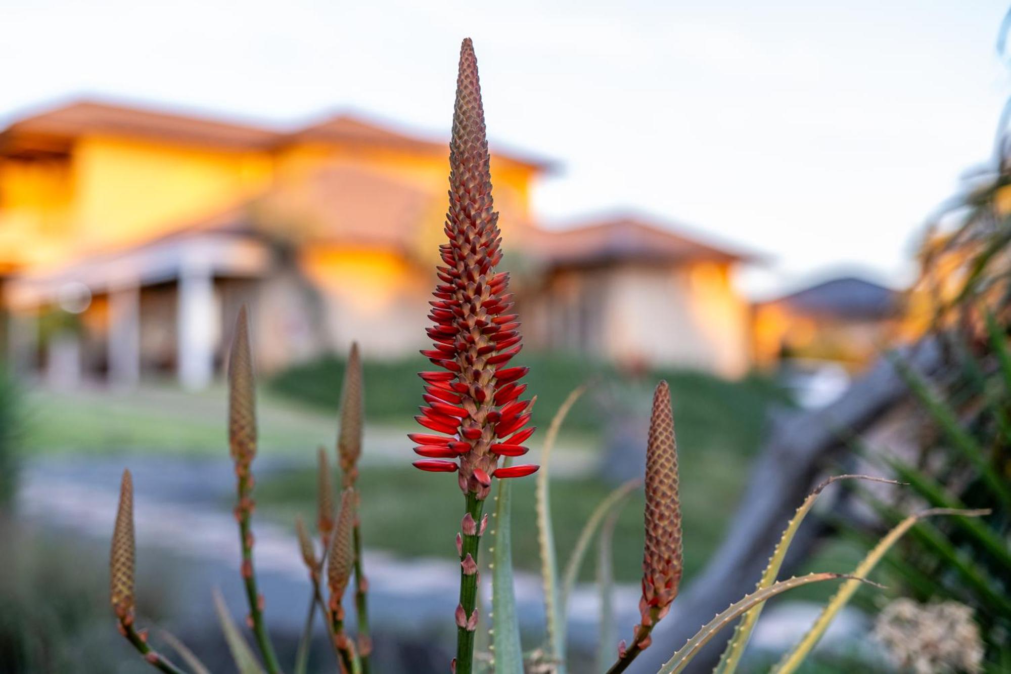 Blue Rain Guest House Bloemfontein Extérieur photo
